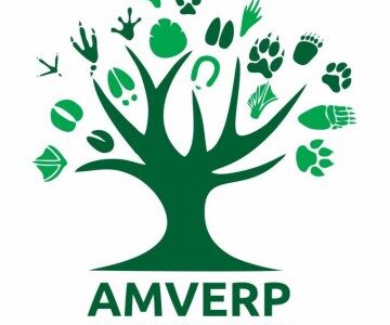 AMVERP